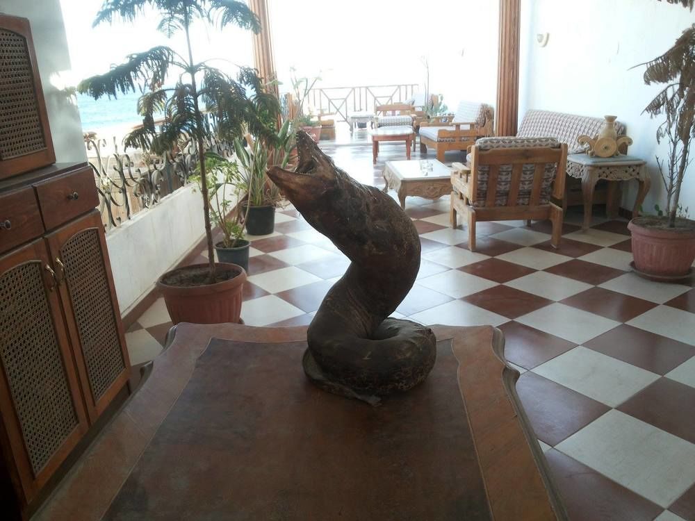 Sea Soul Hotel Νταχάμπ Εξωτερικό φωτογραφία